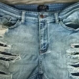 Judy Blue Distressed Jean Shorts